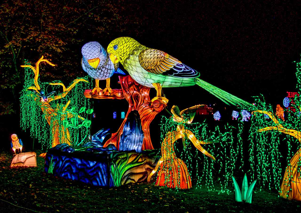 Wild Lanterns At Woodland Park Zoo Is A Mesmerizing, Illuminated ...